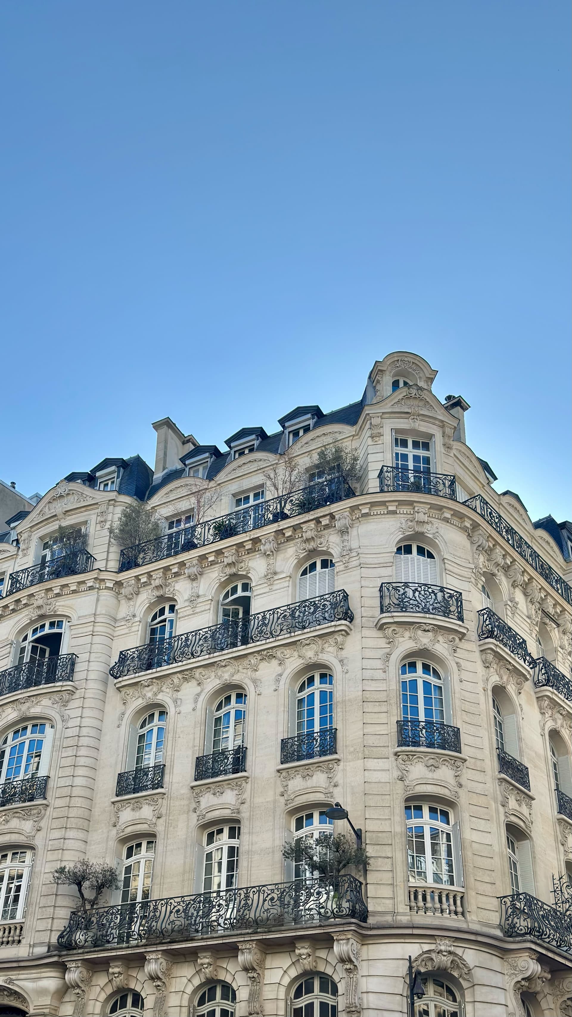 Dayana Group office in Paris: 84 Rue du Faubourg Saint-Honoré, 75008 Paris